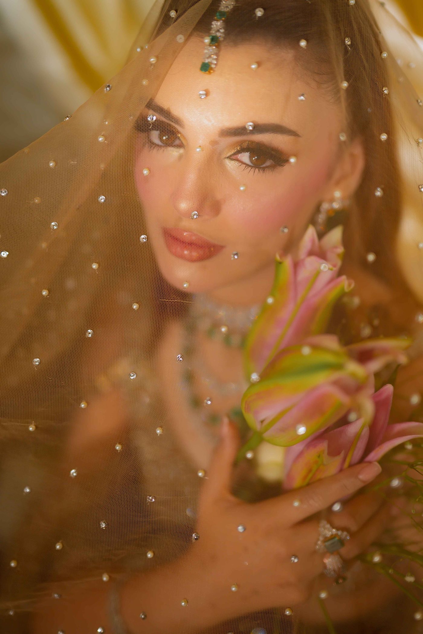 Bridal portrait with veil